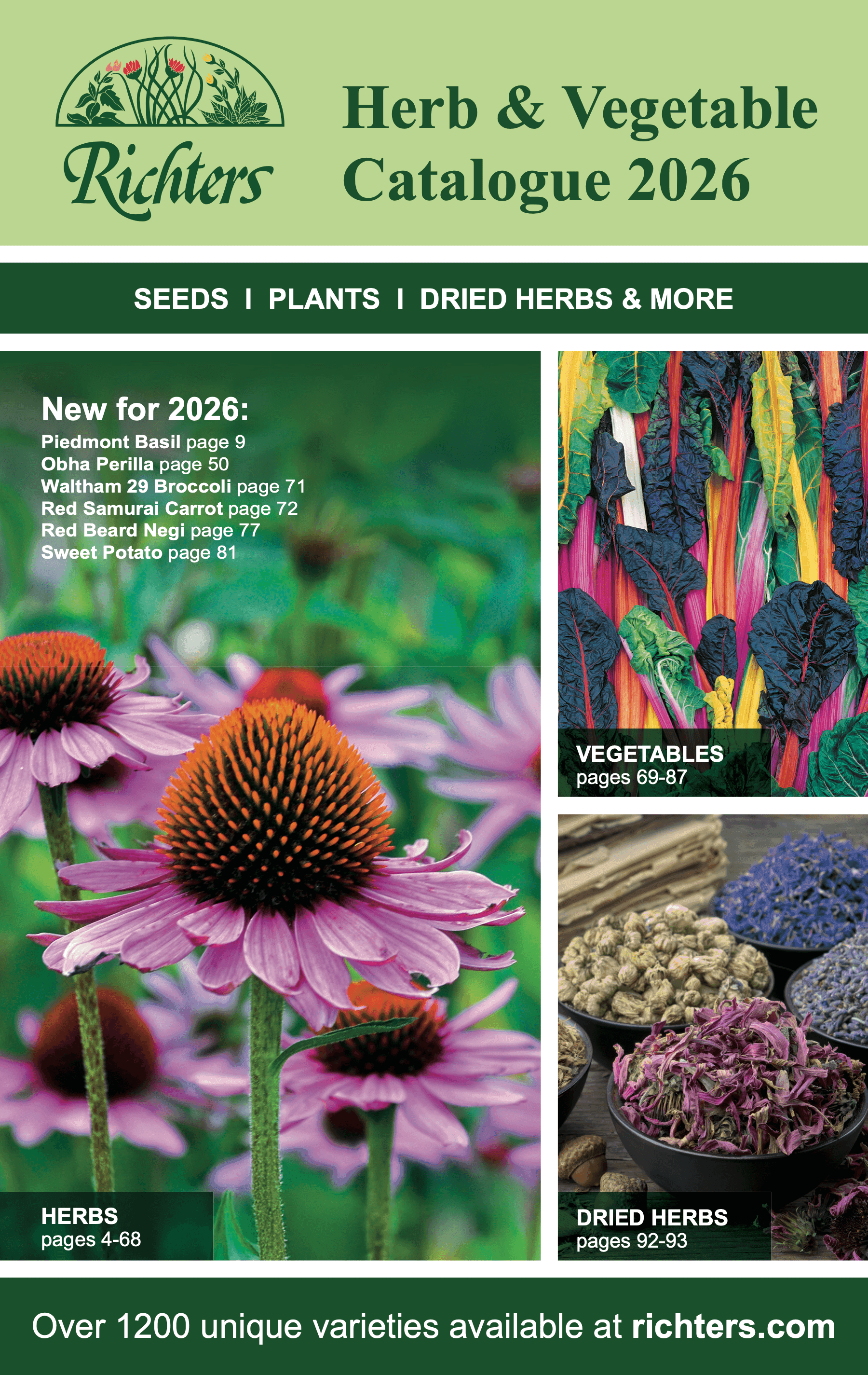 Footer catalog image