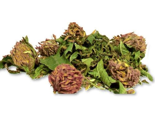 Mrs. Richter’s Special Herbal Tea